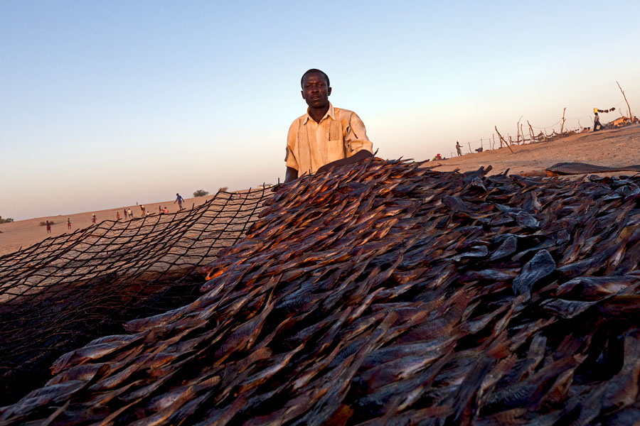 6 1. Dickson Otierro smoking the fish at Kalokol   Turkana lake